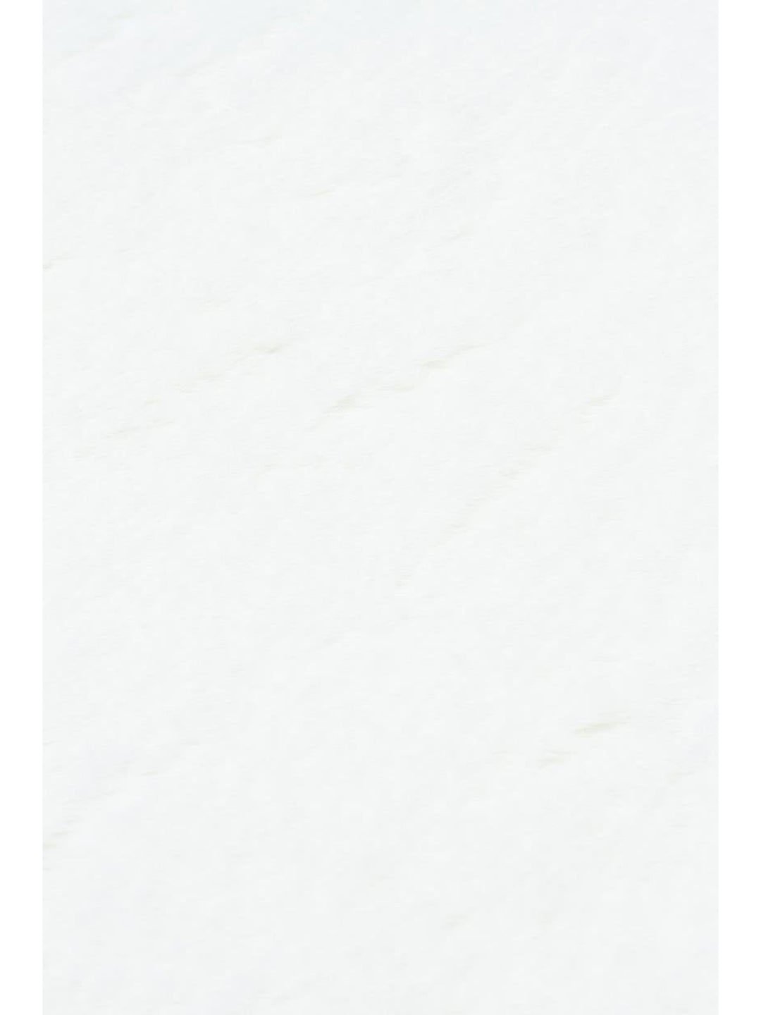 Bunny New Yumuşak Dokulu Uzun Tüylü Yıkanabilir Tavşan Postu WHITE QUARD N - Carpetdocia